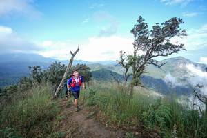 BIB: 
                            <button type="button" onclick="openModal(22371840)" class="btn btn-primary btn-sm float-right btn-popup" data-toggle="modal" data-target=".modal-high-quality">
                        <i class="fas fa-shopping-cart"></i> Add to Cart
                    </button>
                                            <button type="button" onclick="isThisMe(22371840, true)" class="btn btn-success btn-sm float-right btn-popup btn-isme hidden" data-toggle="tooltip" data-placement="bottom" title="นี่คือรูปของคุณใช่ไหม คลิกที่นี่เพื่อเอาเข้าอัลบั้ม">
                        <i class="fas fa-plus"></i> Add to album
                    </button>
                    <button type="button" onclick="isThisMe(22371840, false)" class="btn btn-warning btn-sm float-right btn-popup btn-isnotme hidden">
                        <i class="fas fa-ban"></i> Remove from album
                    </button>